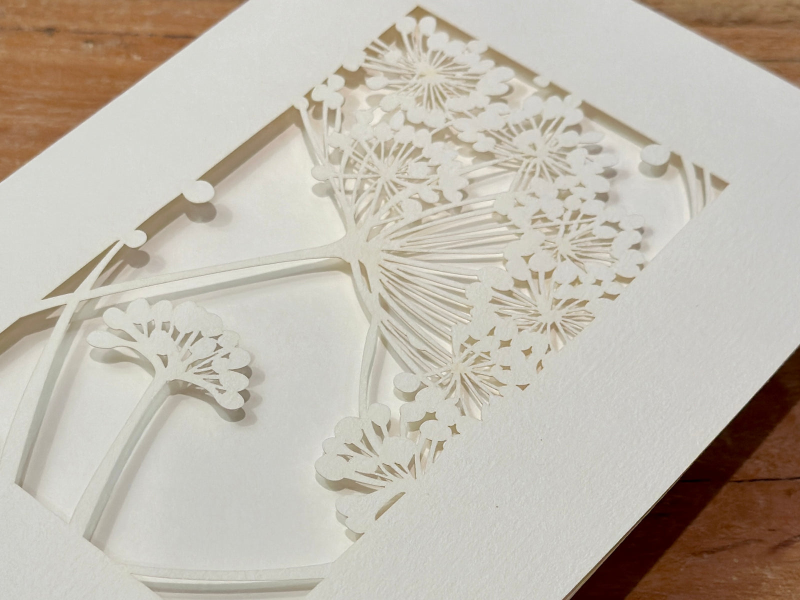 Queen Anne's Lace Greeting Card